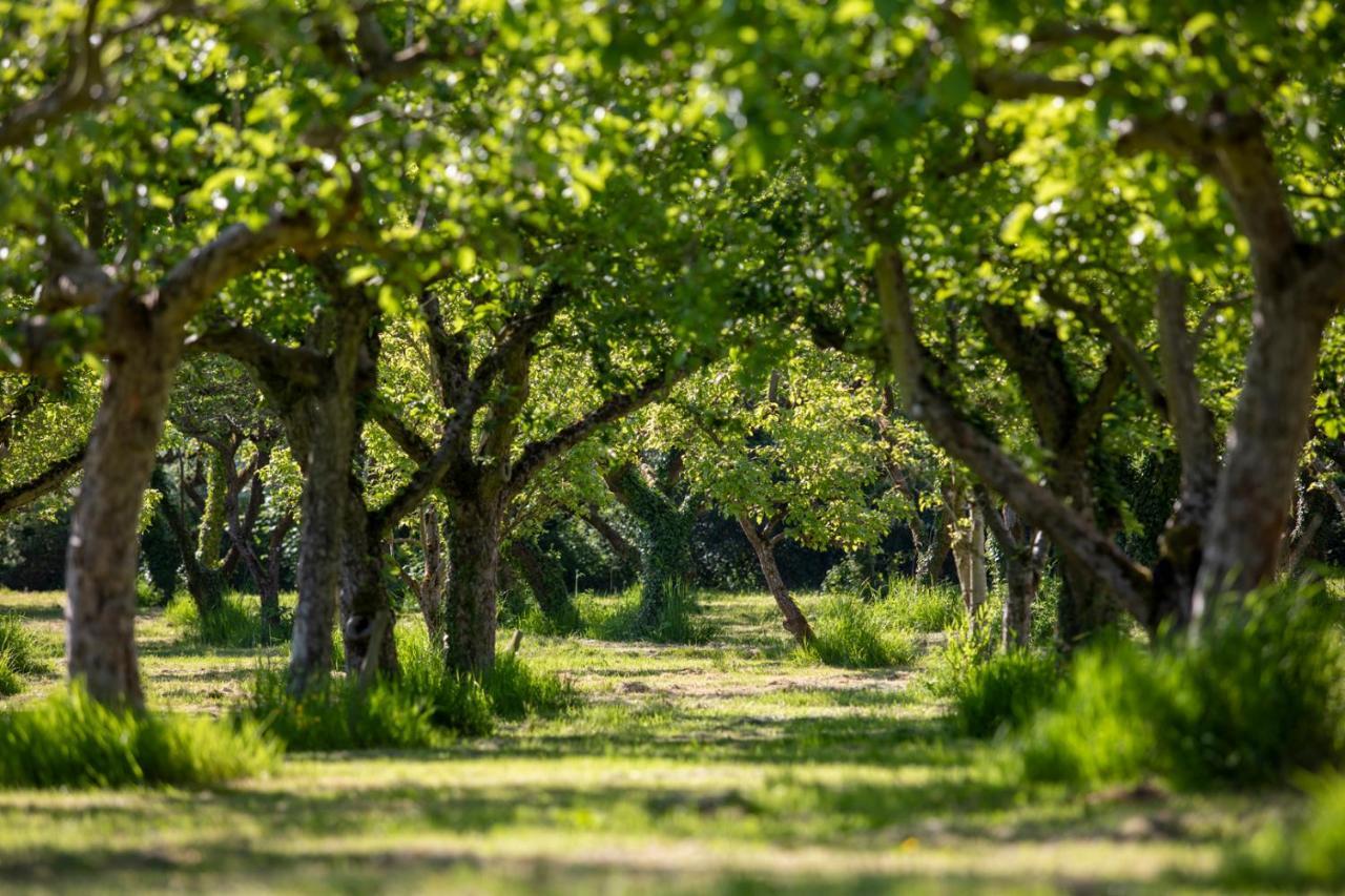 Вилла Dragon Orchard Retreat Ледбери Экстерьер фото