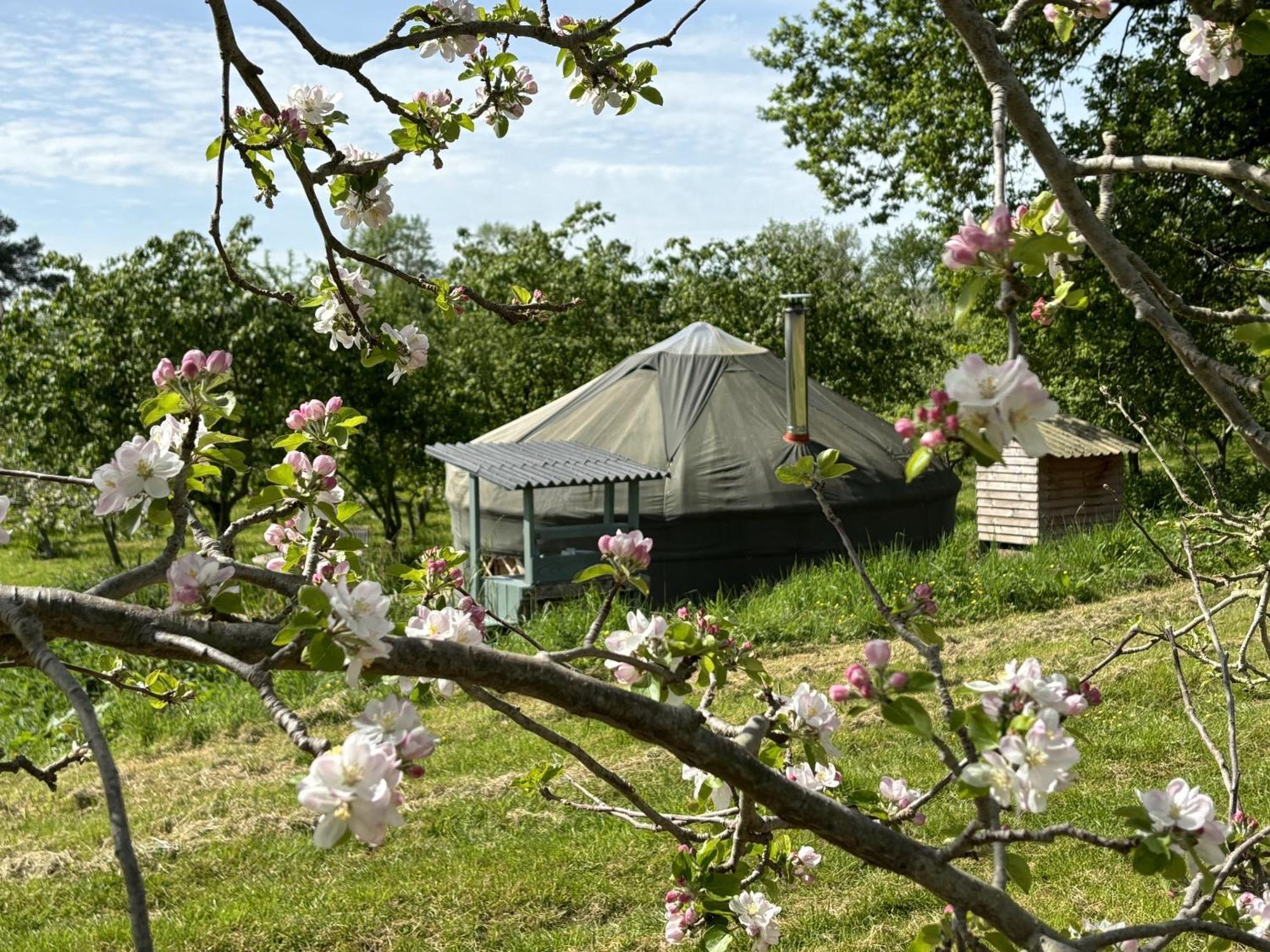 Вилла Dragon Orchard Retreat Ледбери Экстерьер фото